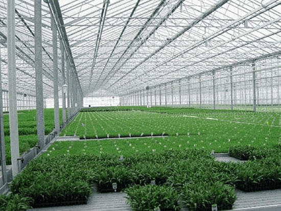 具備哪些溫室育苗設備，可加快蔬菜產業現代化進程？